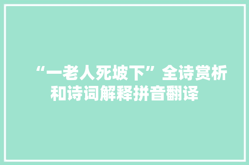 “一老人死坡下”全诗赏析和诗词解释拼音翻译