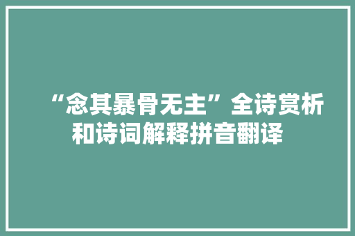 “念其暴骨无主”全诗赏析和诗词解释拼音翻译