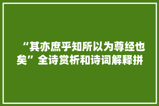 “其亦庶乎知所以为尊经也矣”全诗赏析和诗词解释拼音翻译