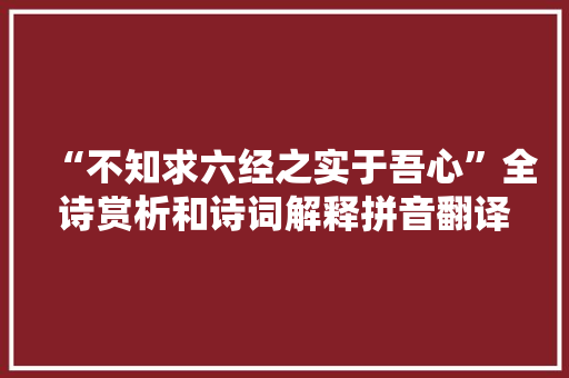 “不知求六经之实于吾心”全诗赏析和诗词解释拼音翻译