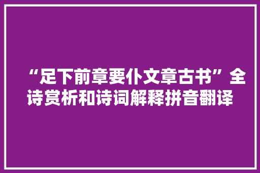 “足下前章要仆文章古书”全诗赏析和诗词解释拼音翻译