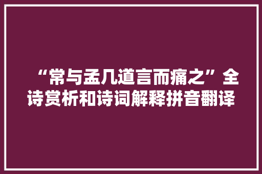 “常与孟几道言而痛之”全诗赏析和诗词解释拼音翻译