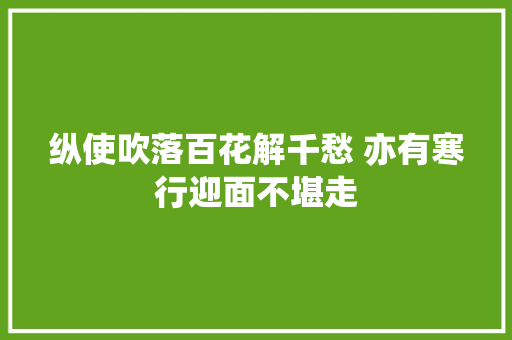 纵使吹落百花解千愁 亦有寒行迎面不堪走