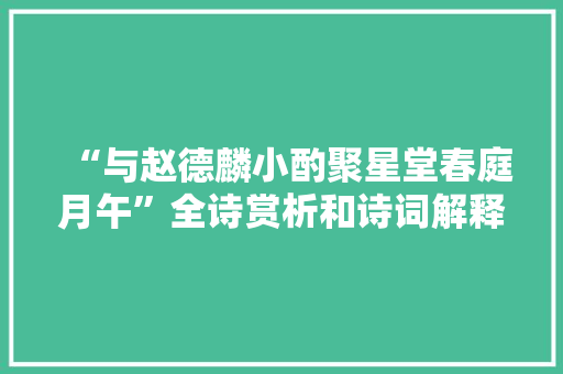 “与赵德麟小酌聚星堂春庭月午”全诗赏析和诗词解释拼音翻译