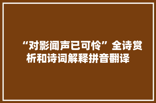 “对影闻声已可怜”全诗赏析和诗词解释拼音翻译