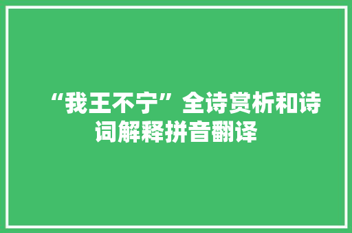 “我王不宁”全诗赏析和诗词解释拼音翻译