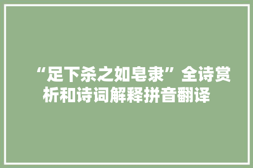 “足下杀之如皂隶”全诗赏析和诗词解释拼音翻译