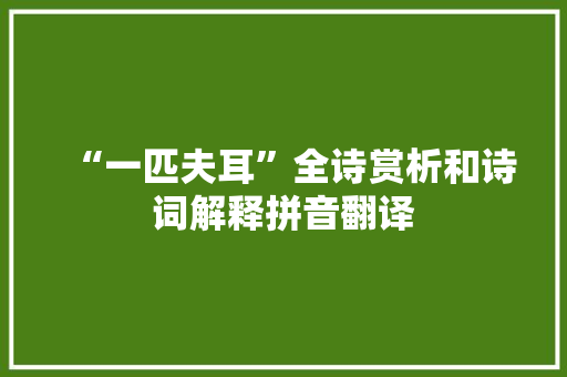 “一匹夫耳”全诗赏析和诗词解释拼音翻译