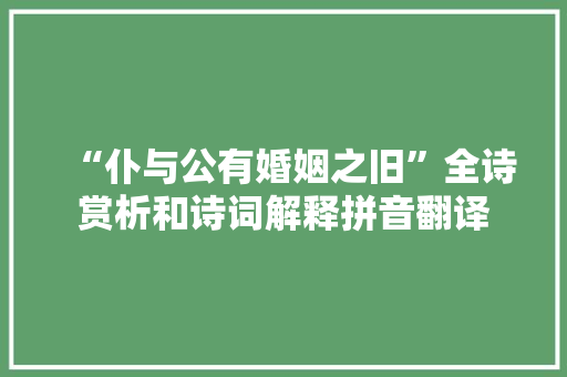 “仆与公有婚姻之旧”全诗赏析和诗词解释拼音翻译