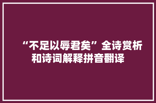 “不足以辱君矣”全诗赏析和诗词解释拼音翻译