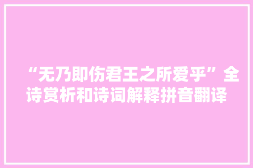 “无乃即伤君王之所爱乎”全诗赏析和诗词解释拼音翻译