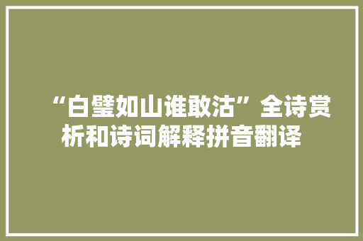 “白璧如山谁敢沽”全诗赏析和诗词解释拼音翻译