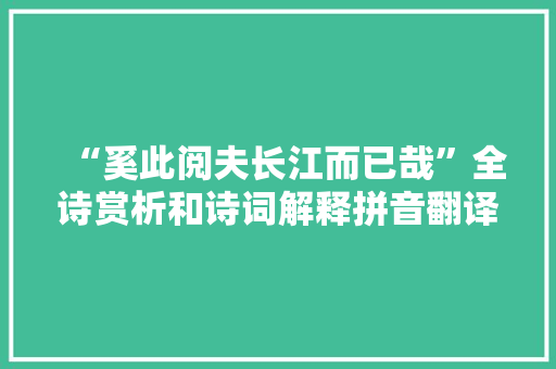 “奚此阅夫长江而已哉”全诗赏析和诗词解释拼音翻译