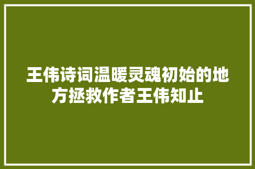 王伟诗词温暖灵魂初始的地方拯救作者王伟知止