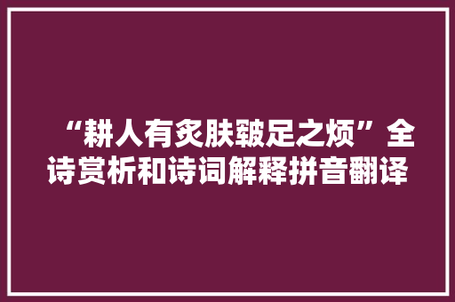 “耕人有炙肤皲足之烦”全诗赏析和诗词解释拼音翻译