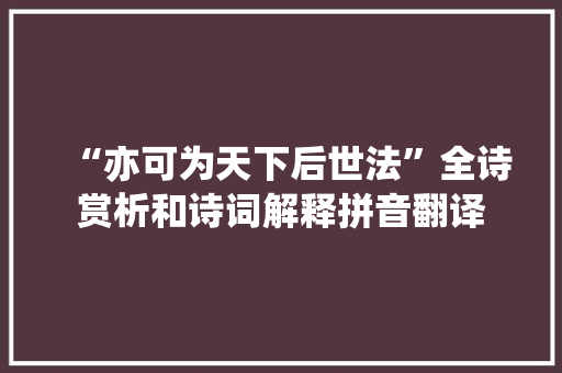 “亦可为天下后世法”全诗赏析和诗词解释拼音翻译