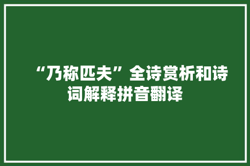 “乃称匹夫”全诗赏析和诗词解释拼音翻译