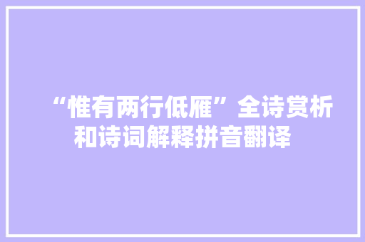 “惟有两行低雁”全诗赏析和诗词解释拼音翻译