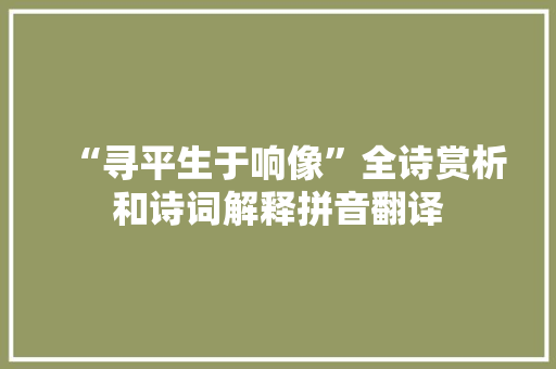 “寻平生于响像”全诗赏析和诗词解释拼音翻译