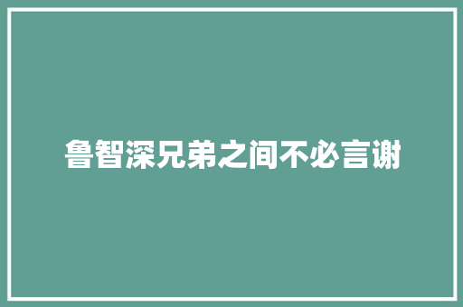 鲁智深兄弟之间不必言谢