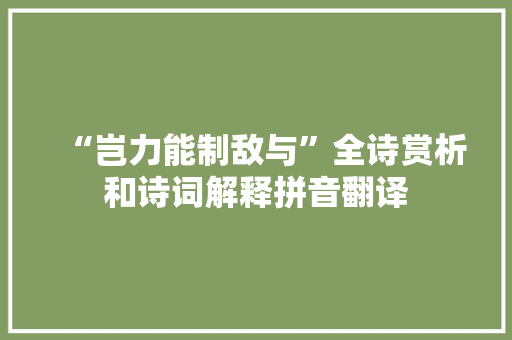 “岂力能制敌与”全诗赏析和诗词解释拼音翻译