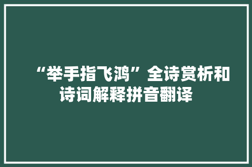 “举手指飞鸿”全诗赏析和诗词解释拼音翻译