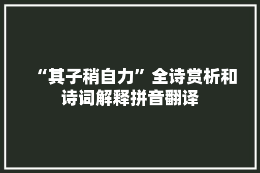 “其子稍自力”全诗赏析和诗词解释拼音翻译