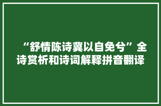 “舒情陈诗冀以自免兮”全诗赏析和诗词解释拼音翻译