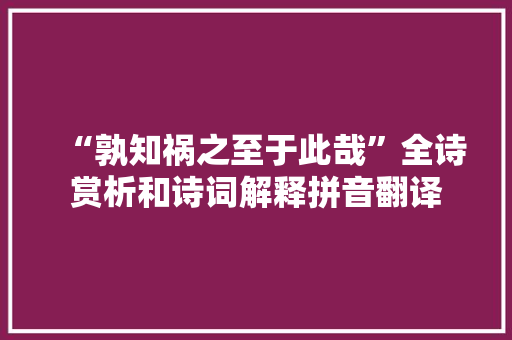 “孰知祸之至于此哉”全诗赏析和诗词解释拼音翻译