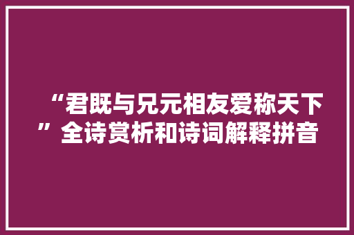 “君既与兄元相友爱称天下”全诗赏析和诗词解释拼音翻译