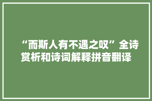 “而斯人有不遇之叹”全诗赏析和诗词解释拼音翻译