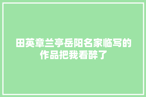 田英章兰亭岳阳名家临写的作品把我看醉了