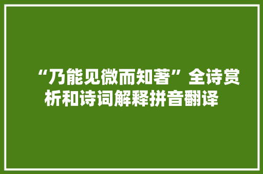 “乃能见微而知著”全诗赏析和诗词解释拼音翻译