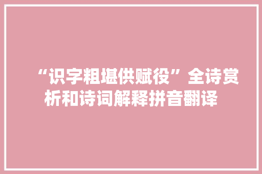 “识字粗堪供赋役”全诗赏析和诗词解释拼音翻译