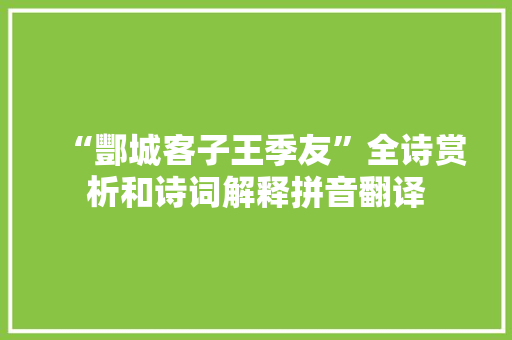 “酆城客子王季友”全诗赏析和诗词解释拼音翻译