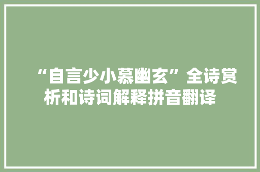 “自言少小慕幽玄”全诗赏析和诗词解释拼音翻译