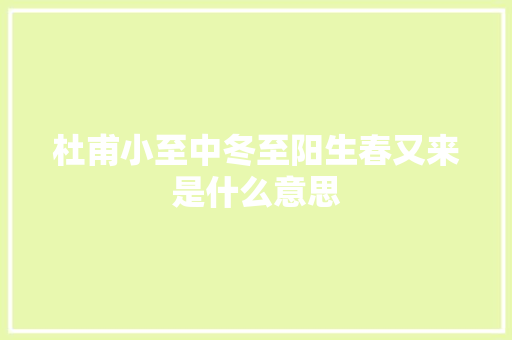 杜甫小至中冬至阳生春又来是什么意思