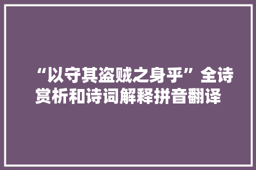 “以守其盗贼之身乎”全诗赏析和诗词解释拼音翻译