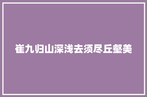 崔九归山深浅去须尽丘壑美