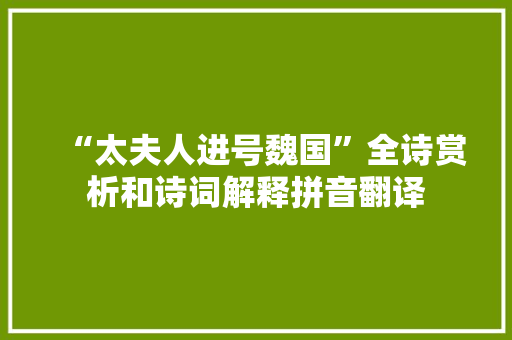 “太夫人进号魏国”全诗赏析和诗词解释拼音翻译