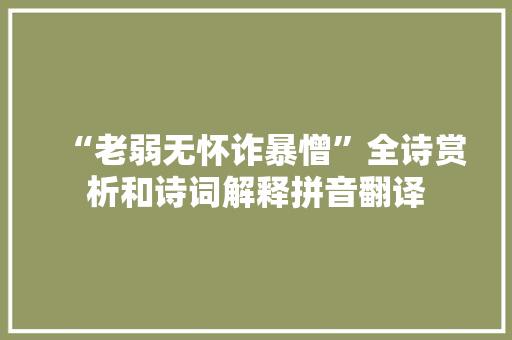 “老弱无怀诈暴憎”全诗赏析和诗词解释拼音翻译