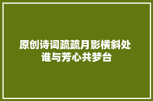 原创诗词疏疏月影横斜处 谁与芳心共梦台