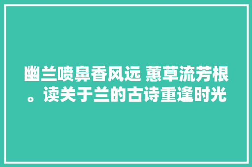 幽兰喷鼻香风远 蕙草流芳根。读关于兰的古诗重逢时光里的春天