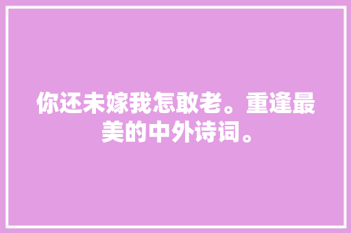 你还未嫁我怎敢老。重逢最美的中外诗词。