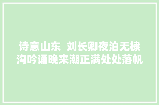 诗意山东  刘长卿夜泊无棣沟吟诵晚来潮正满处处落帆还