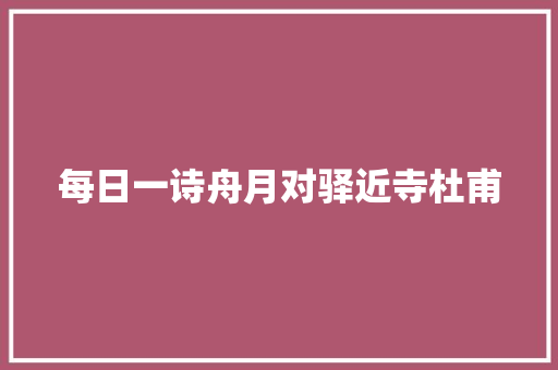 每日一诗舟月对驿近寺杜甫