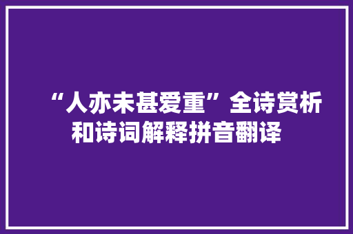 “人亦未甚爱重”全诗赏析和诗词解释拼音翻译