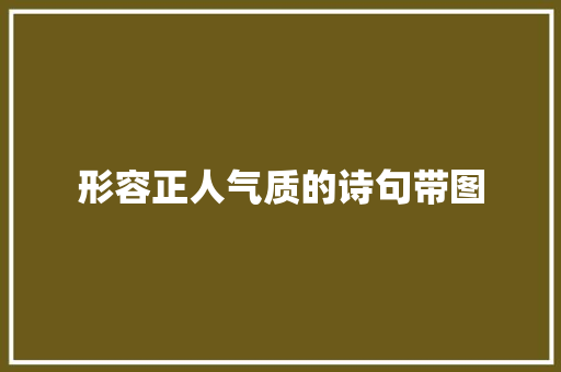 形容正人气质的诗句带图