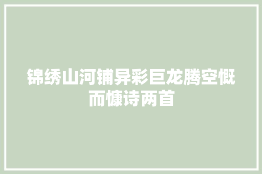 锦绣山河铺异彩巨龙腾空慨而慷诗两首