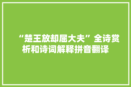 “楚王放却屈大夫”全诗赏析和诗词解释拼音翻译